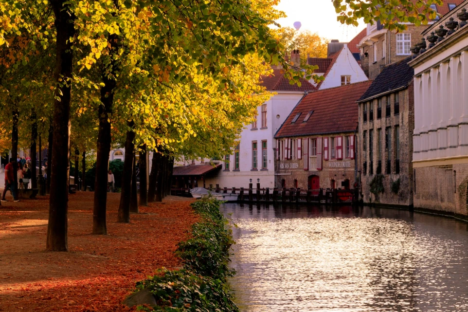 calm river during daytime